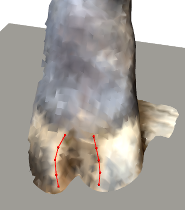 Claw measurement analysis