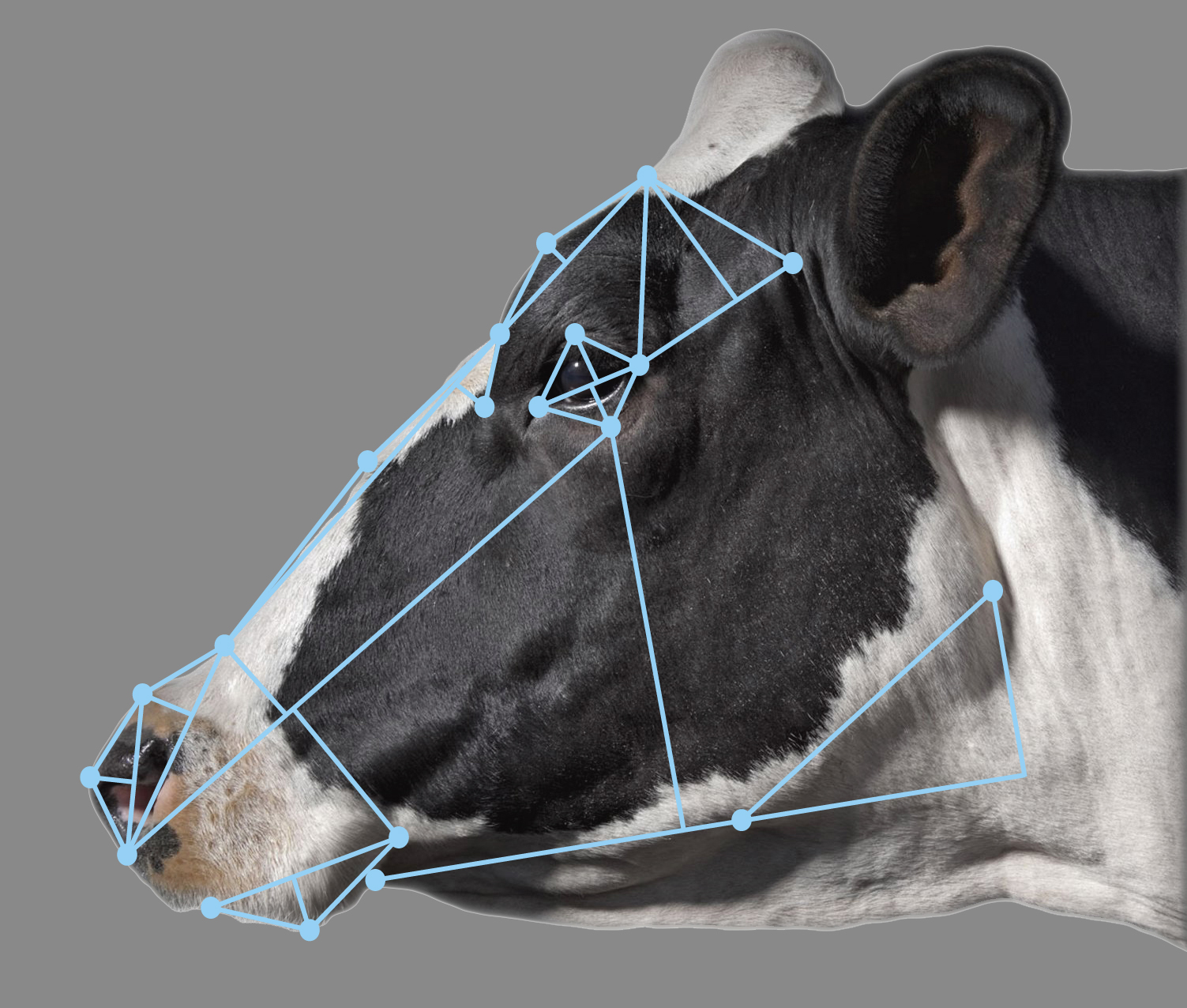 Bioinformatics Analysis