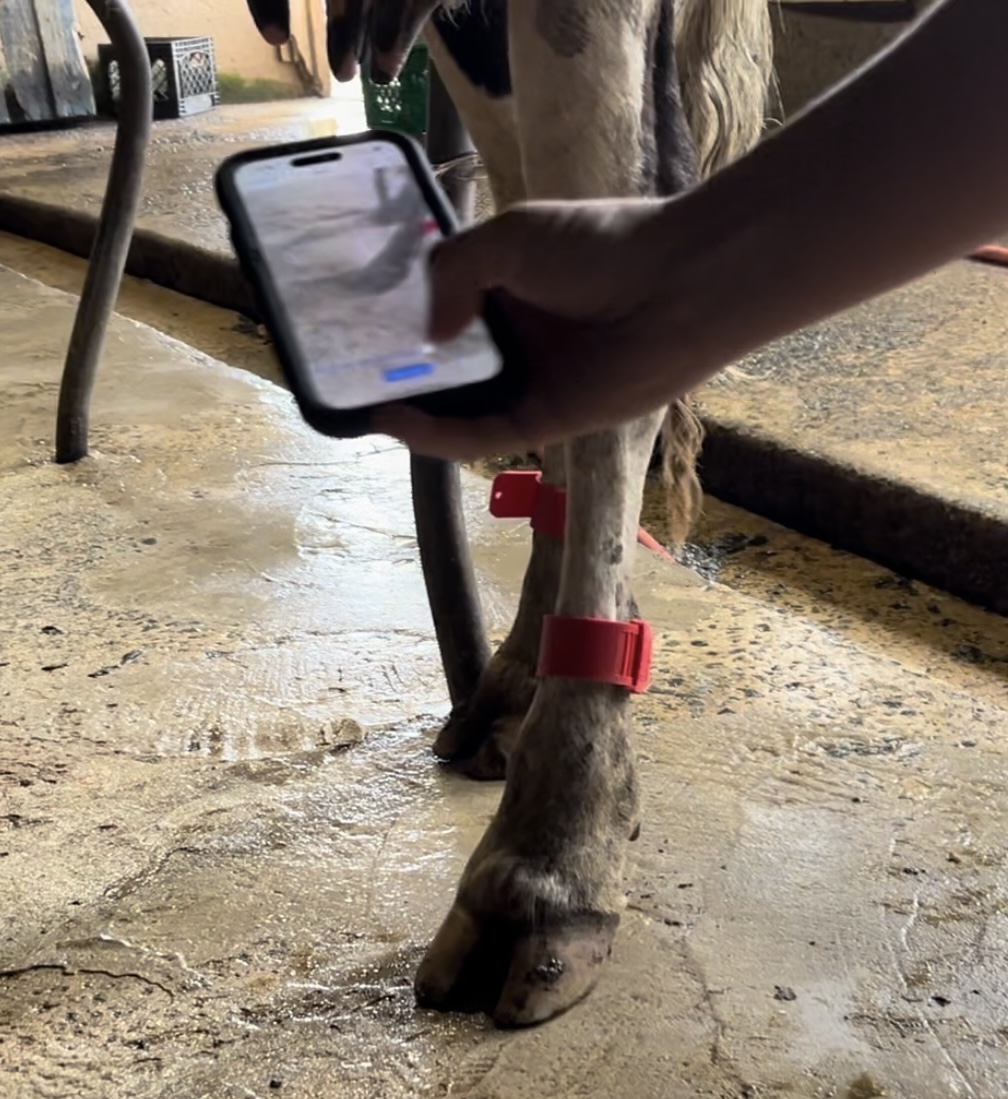 Hand scanning with iPhone