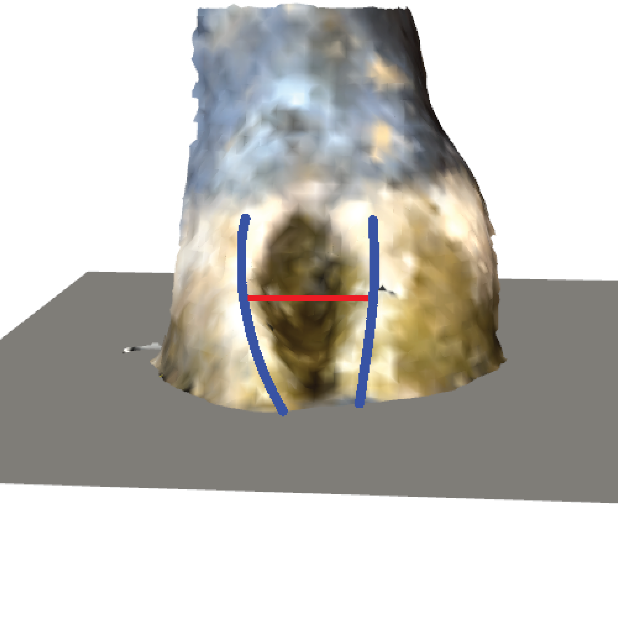 Claw gap measurement