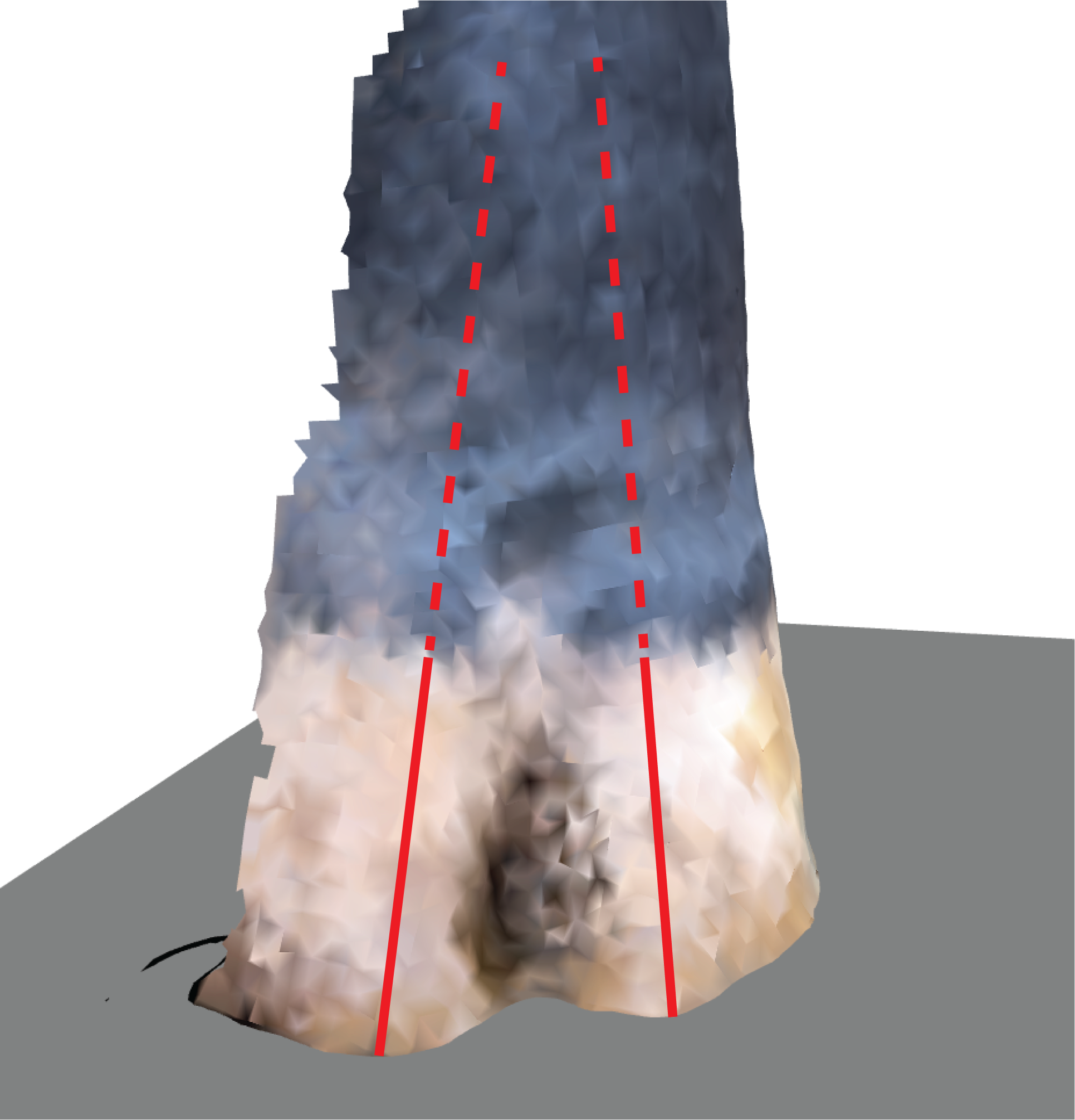 Claw set angle measurement