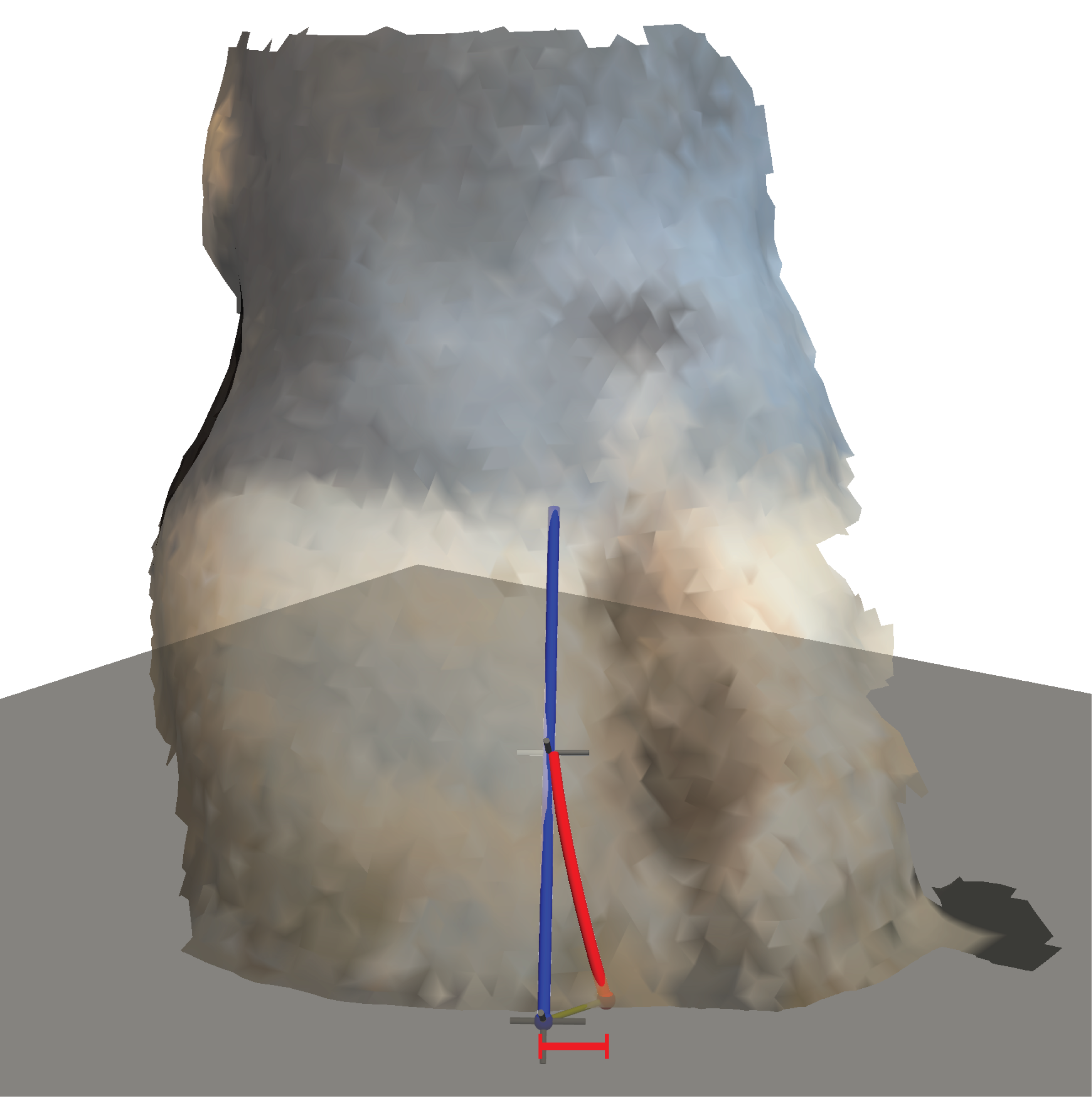 Claw curvature measurement