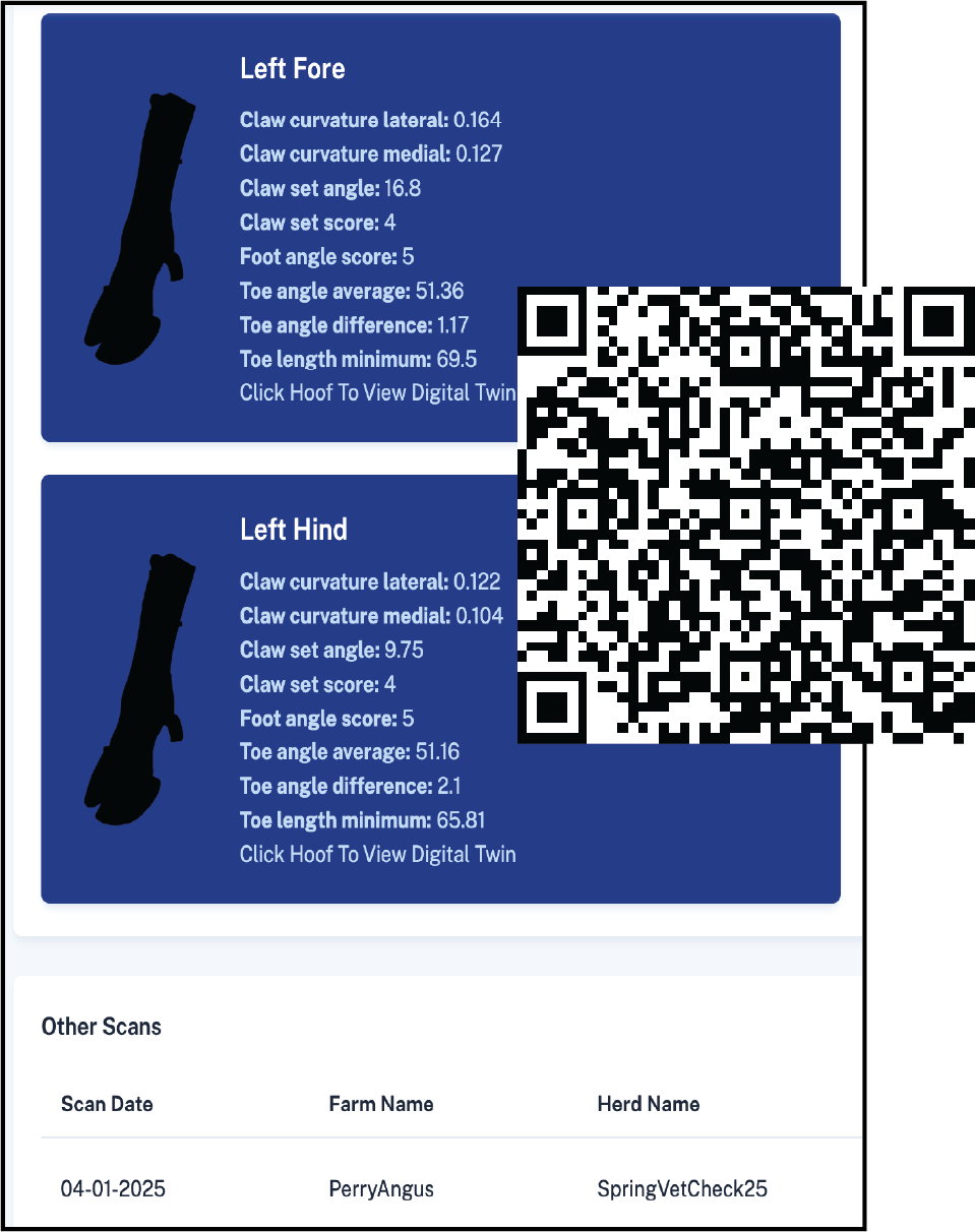 Phenotype report example